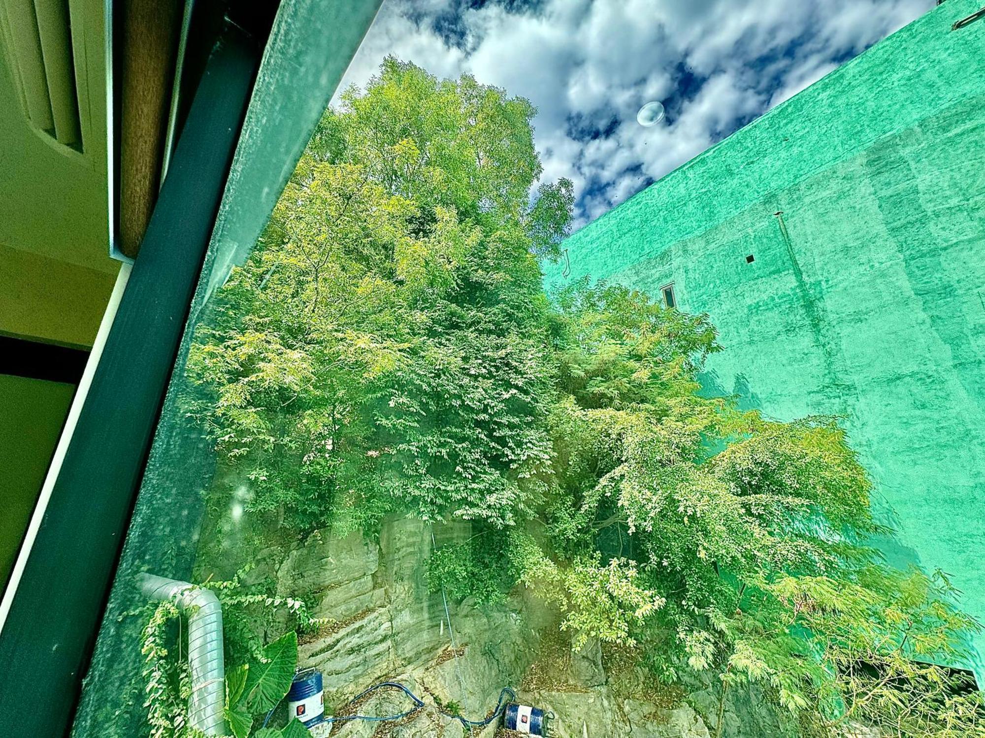 Sunflower Catba Hotel Dong Khe Sau Εξωτερικό φωτογραφία